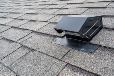 Remove Indoor Pollutants and Allergens