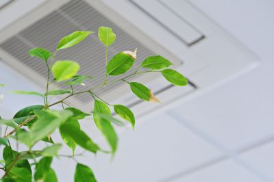 Maintain Good Air Quality!